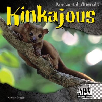  Kinkajou: Um Animal Noturno com Uma Curiosidade Incontrolável por Doçuras Tropical!