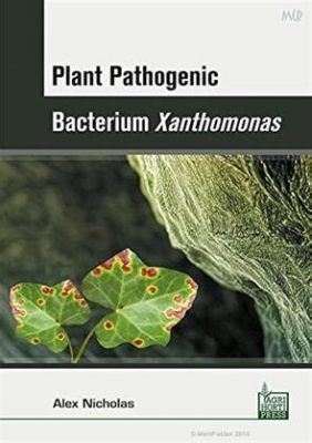  Xanthomonas! Uma Bactéria Flagelada Que Faz Maravilhas (e Algumas Travessuras) no Mundo Vegetal